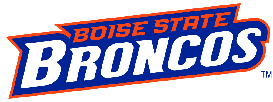 Boise State Broncos 2002-2012 Wordmark Logo v8 DIY iron on transfer (heat transfer)